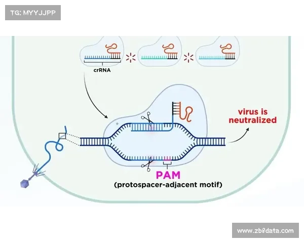 基因编辑用于治疗跳水运动损伤引发医学伦理与安全性激辩