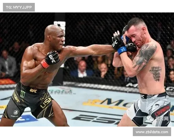 宋亚东与肖恩·奥马利对决确定，UFC323上演雏量级焦点战